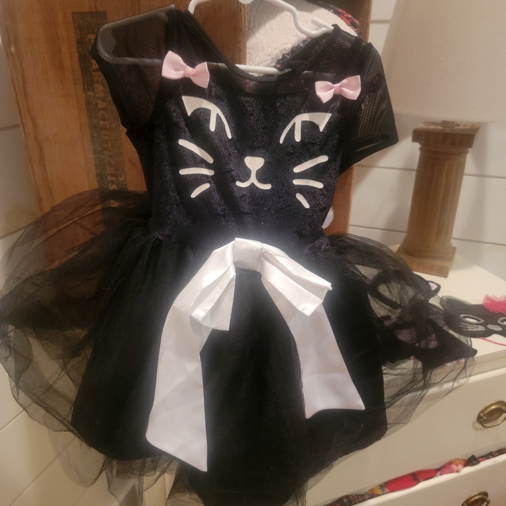 Kitty cat